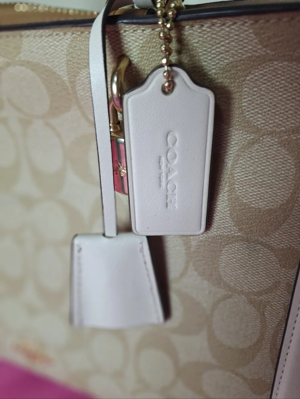 Coach ZOE Carryall Signature Canvas